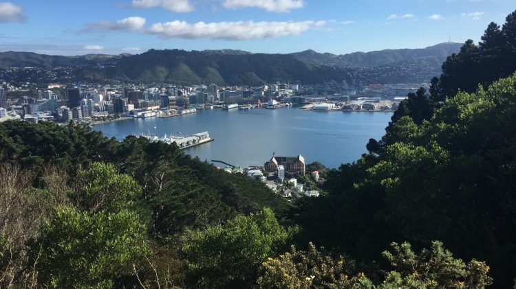 Croisière entre île du sud et du nord - Nouvelle Zélande