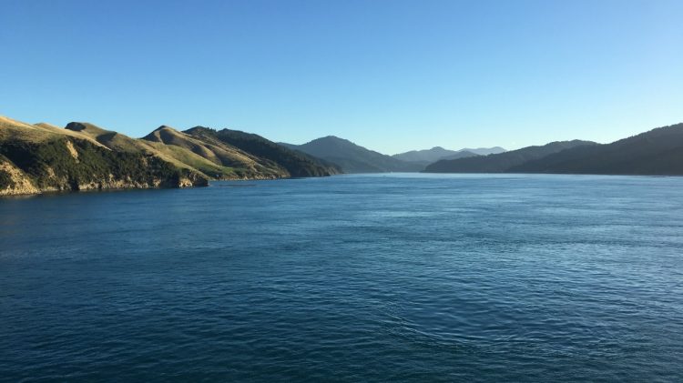 Croisière entre île du sud et du nord - Nouvelle Zélande