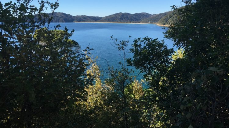 Abel Tasman National Park