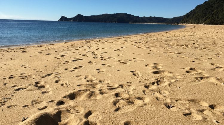 Abel Tasman National Park