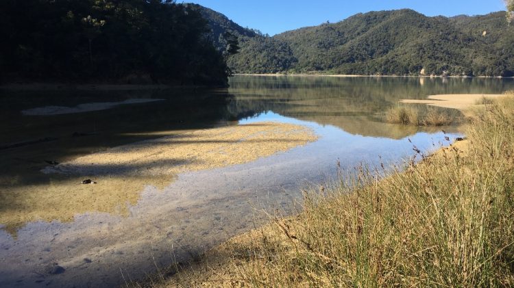 Abel Tasman National Park