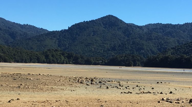 Abel Tasman National Park