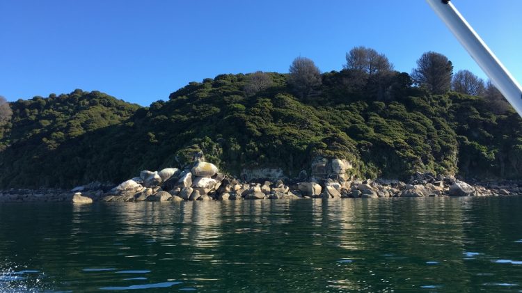 Abel Tasman National Park