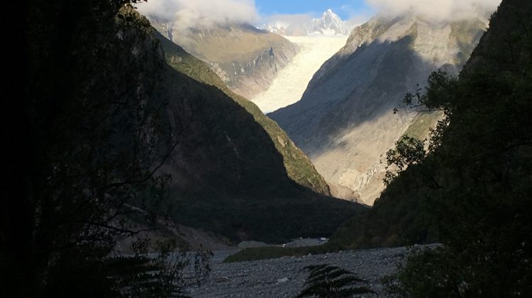 Fox Glacier