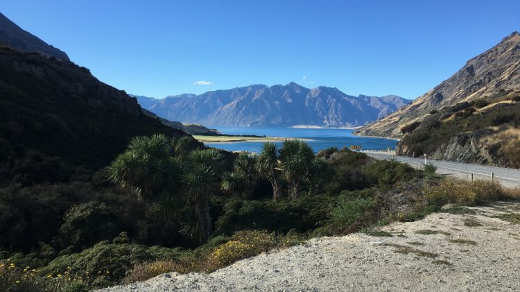 Pukaki Lake