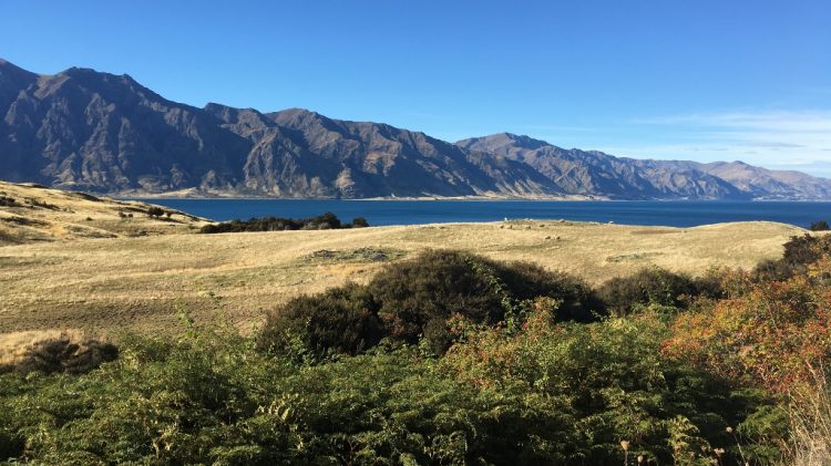 Pukaki Lake