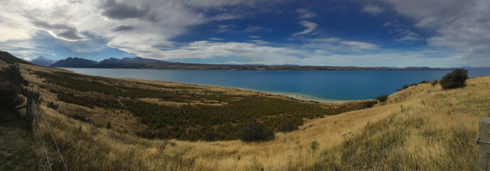 Pukaki Lake