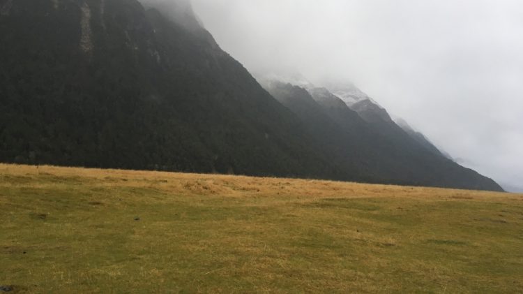 Route entre Te Anau et Milford Sound