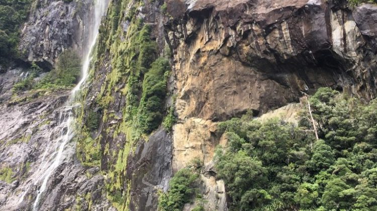 Milford Sound - Nouvelle Zélande