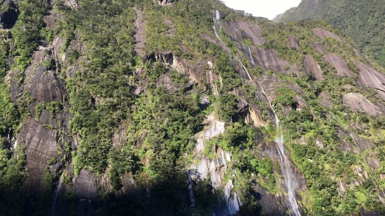 Milford Sound - Nouvelle Zélande