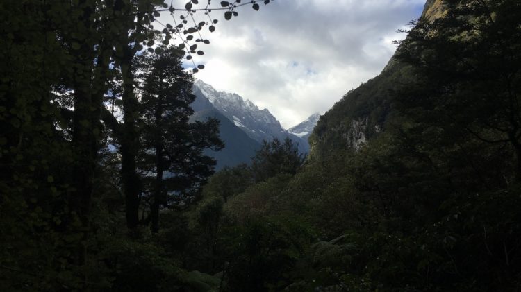 Route entre Te Anau et Milford Sound