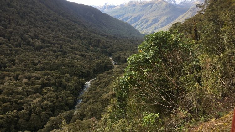 Route entre Te Anau et Milford Sound