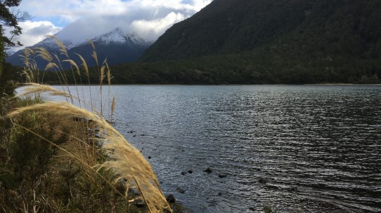 Route entre Te Anau et Milford Sound