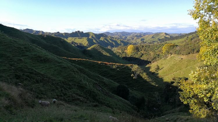 Mont Taranaki - Nouvelle Zélande