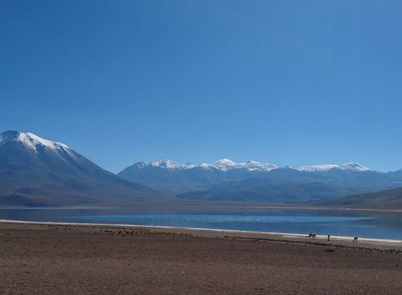 Laguna Miscanti_ San pedro de atacama_ Chili