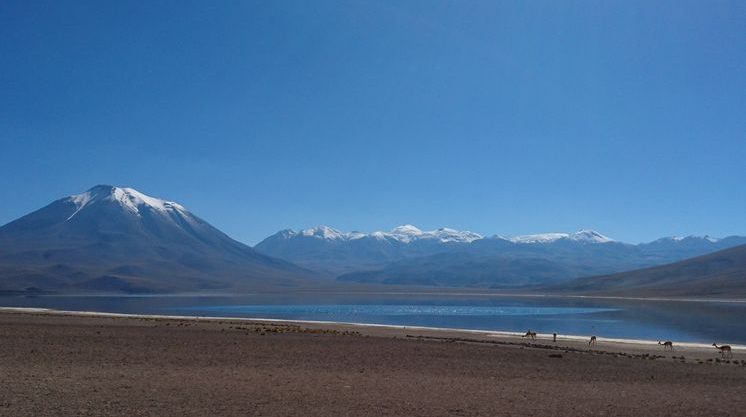 Laguna Miscanti_ San pedro de atacama_ Chili