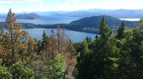 Route des 7 lacs _ Bariloche_Argentine