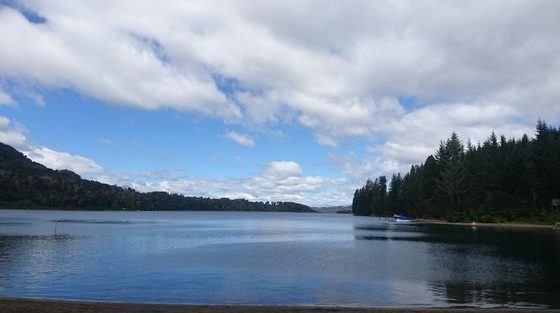 Route des 7 lacs _ Bariloche_Argentine