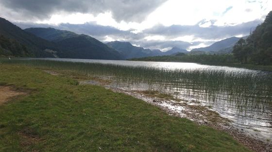 Route des 7 lacs _ Bariloche_Argentine