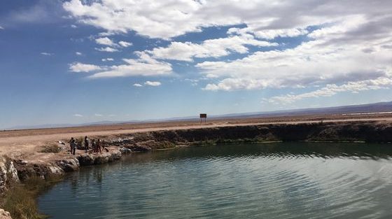 Laguna Tebenquiche, San pedro de atacama_ Chili