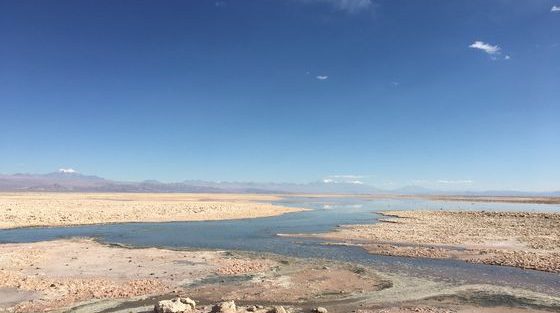 Laguna Chaxa_San pedro de atacama_ Chili