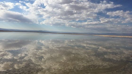 Laguna Chaxa_San pedro de atacama_ Chili