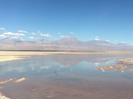 Laguna Chaxa_San pedro de atacama_ Chili