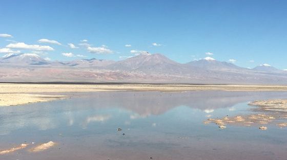 Laguna Chaxa_San pedro de atacama_ Chili