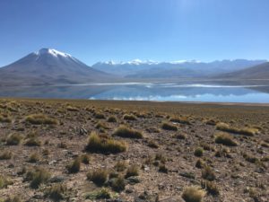 Laguna Miscanti_San pedro de atacama_ Chil
