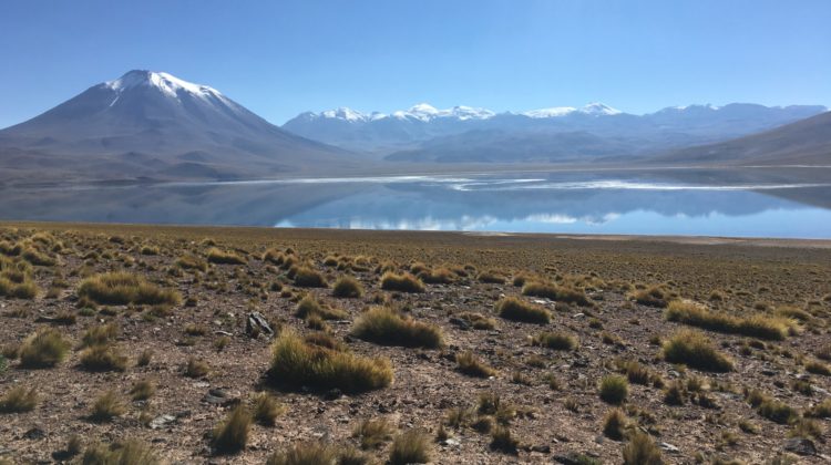 Laguna Miscanti_San pedro de atacama_ Chil