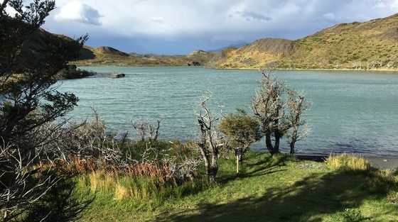 Trek W_Torres del Paine_ Patagonie_Chili