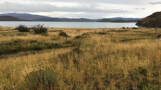 Trek W_Torres del Paine_ Patagonie_Chili