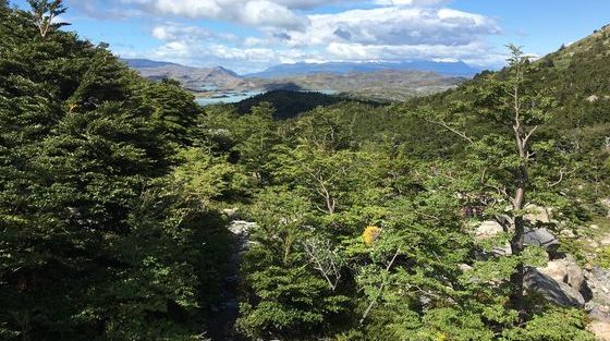 Trek W_Torres del Paine_ Patagonie_Chili