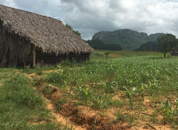 Vinales-Cuba