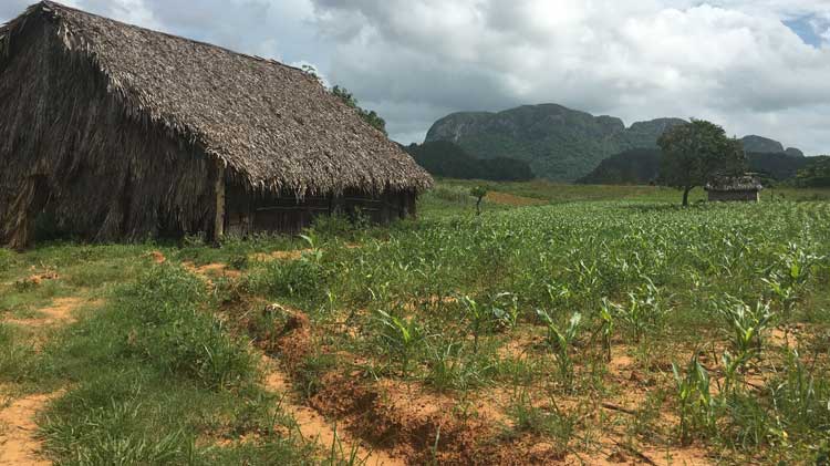 Vinales-Cuba