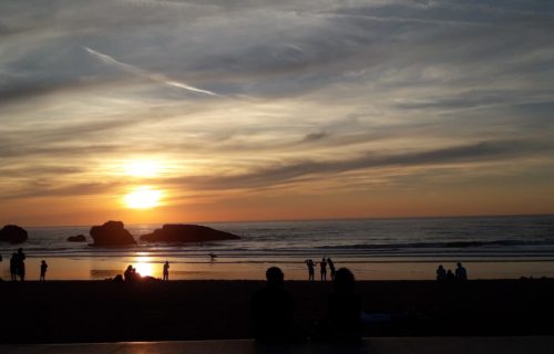 Faites du surf à Biarritz