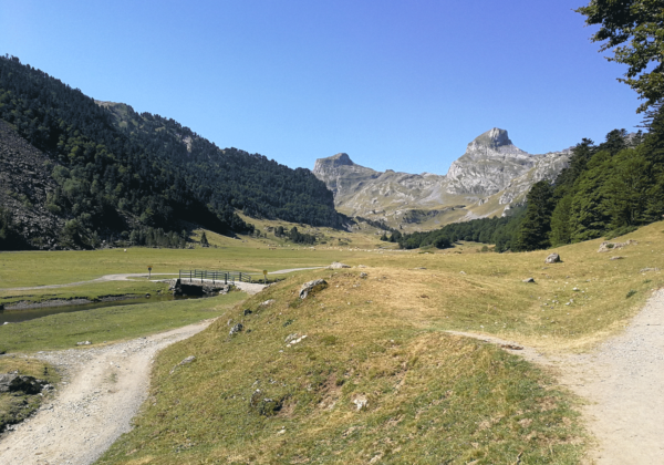 Randonnée Pyrénées lac ayous, chemin dans la vallée