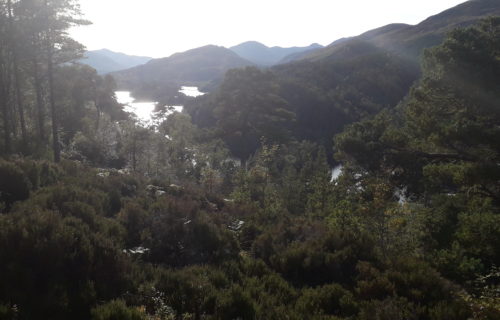 Glen africa_Ecosse : petit lac entouré de forêt