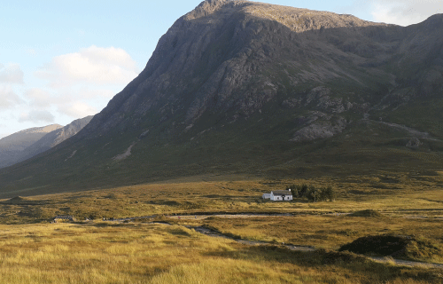 Glencoe_Ecosse : paysage sauvage avec une montagne en fond et de l'herbe jaune devant