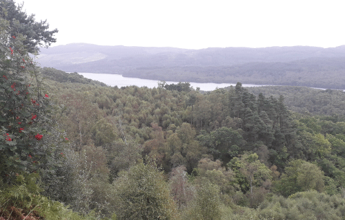 Parc_trossachs_Ecosse