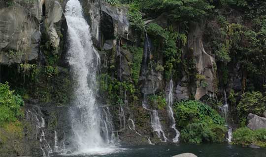 Bassin_des_cormorans_La Réunion