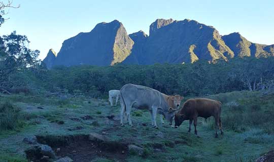 Cirque de Mafate - La Réunion