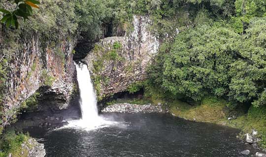 Bassin de la mer - la Réunion