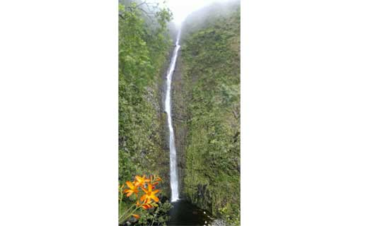 Cascade Biberon - La Réunion