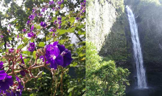 Takamaka - la Réunion